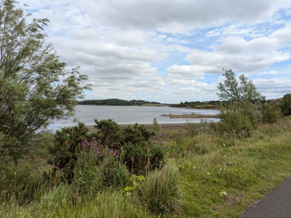 Hillend Loch with summer greenery in front